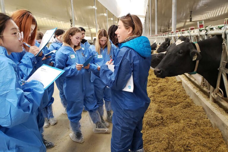Dairy Farm Workers in Canada Earn $40,000 to $70,000 a Year