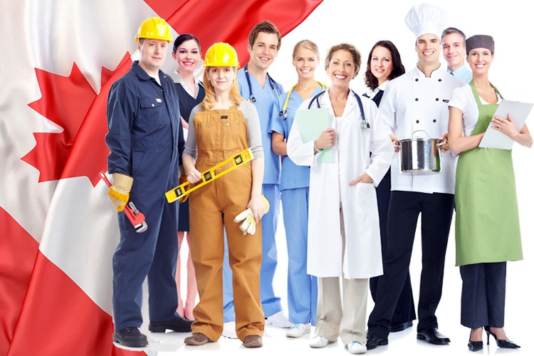 Canada Jobs You Can Get Without IELTS, A Reality Check for Foreign Workers